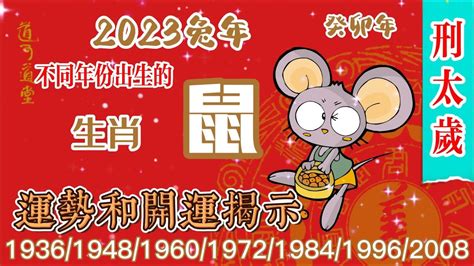 鼠年幸運顏色|2020本命年，不同年份生肖鼠專屬幸運色